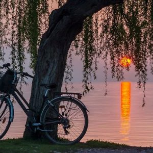 İznik Bisiklet Kiralama 7